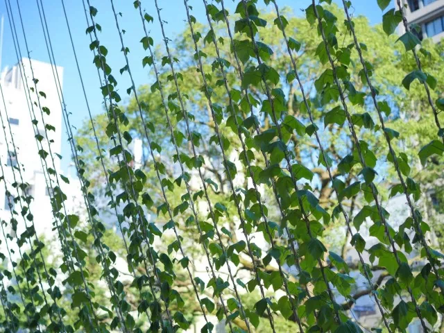 暑い夏を自宅で快適に楽しむ工夫と暮らしのアイデア