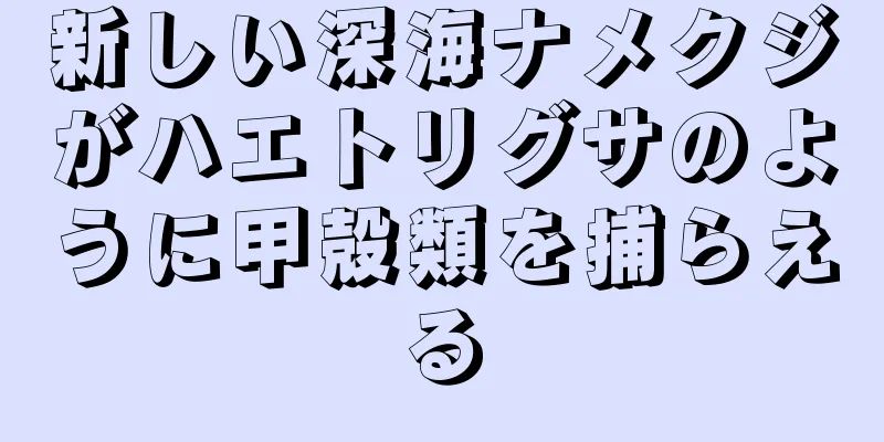 新しい深海ナメクジがハエトリグサのように甲殻類を捕らえる