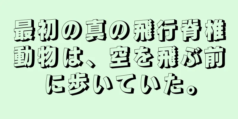 最初の真の飛行脊椎動物は、空を飛ぶ前に歩いていた。