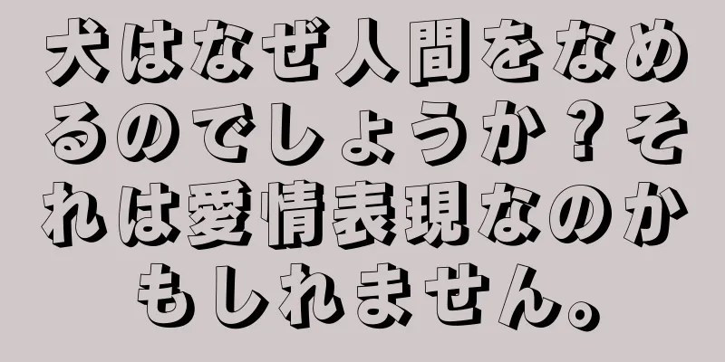 犬はなぜ人間をなめるのでしょうか？それは愛情表現なのかもしれません。