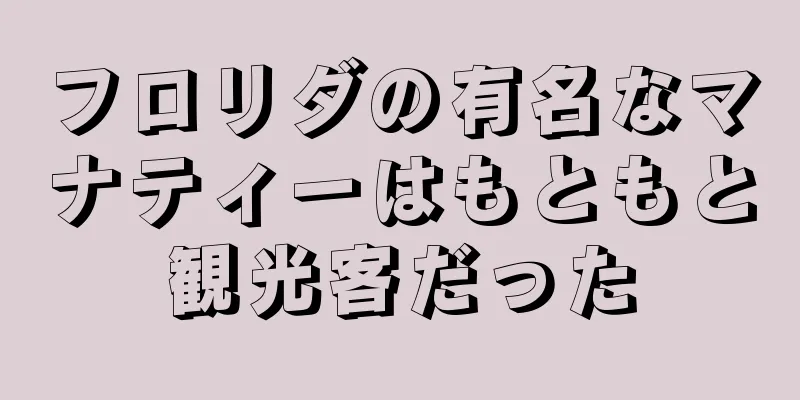 フロリダの有名なマナティーはもともと観光客だった