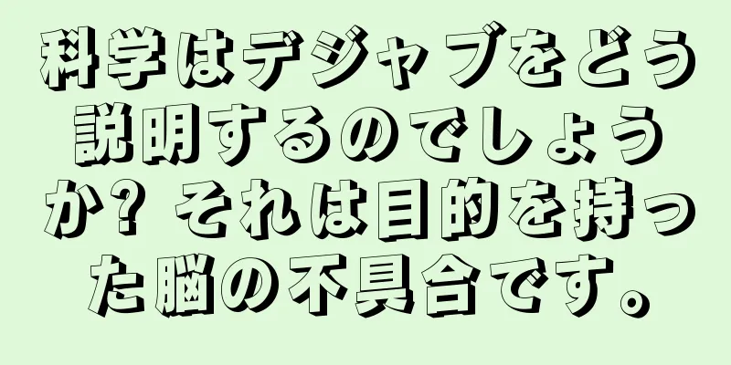科学はデジャブをどう説明するのでしょうか? それは目的を持った脳の不具合です。