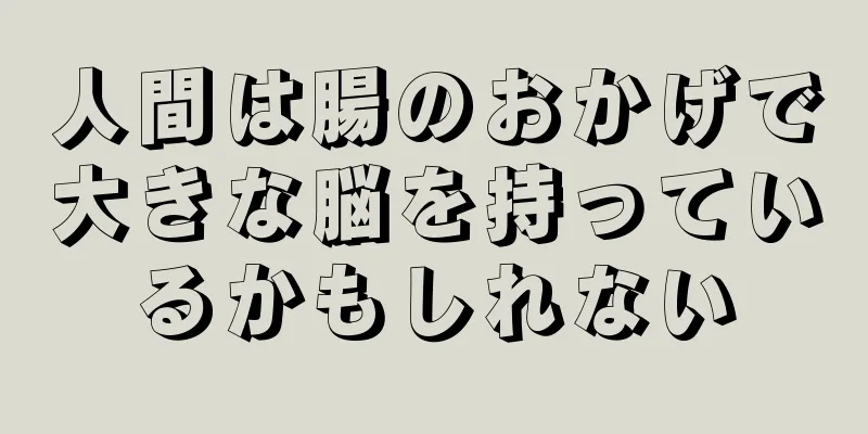 人間は腸のおかげで大きな脳を持っているかもしれない