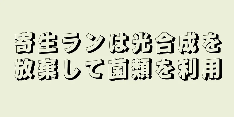 寄生ランは光合成を放棄して菌類を利用