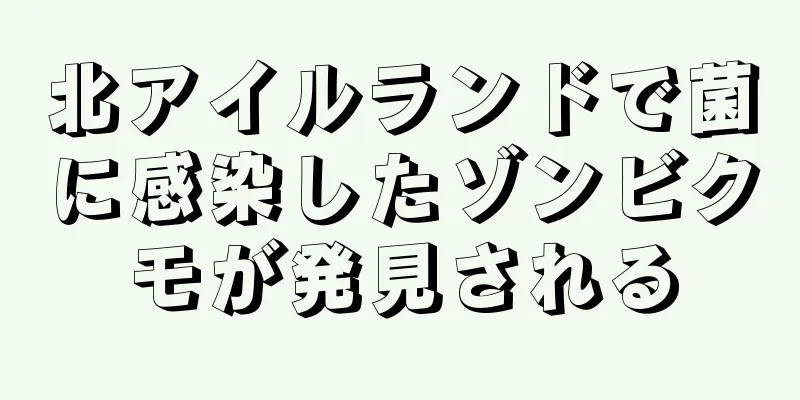 北アイルランドで菌に感染したゾンビクモが発見される