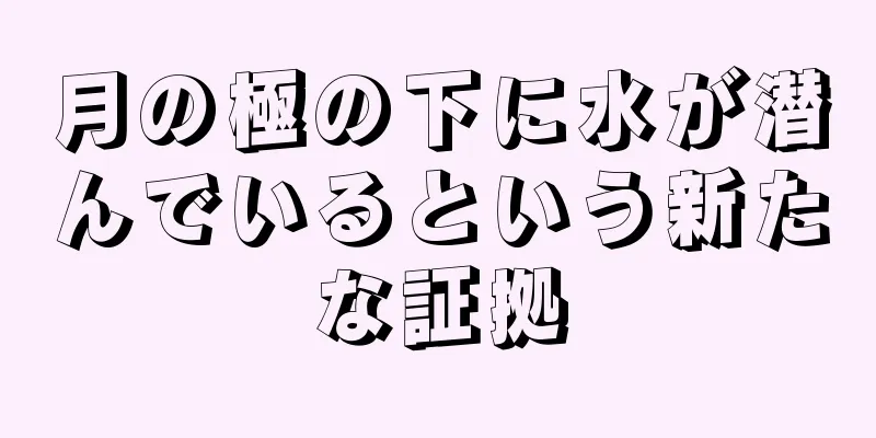 月の極の下に水が潜んでいるという新たな証拠