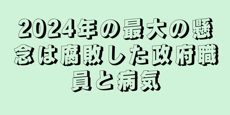 2024年の最大の懸念は腐敗した政府職員と病気
