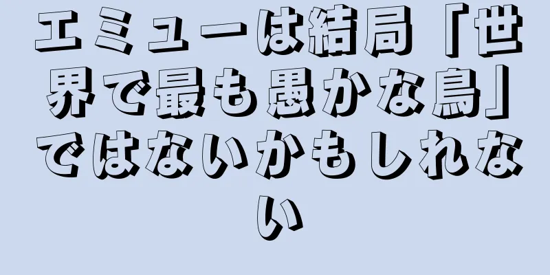 エミューは結局「世界で最も愚かな鳥」ではないかもしれない