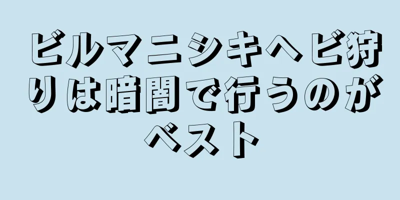 ビルマニシキヘビ狩りは暗闇で行うのがベスト