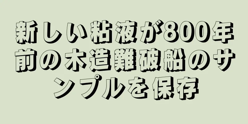 新しい粘液が800年前の木造難破船のサンプルを保存