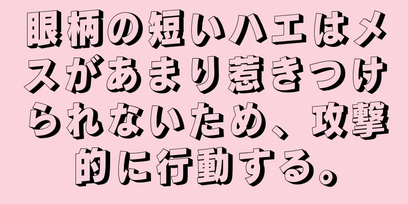 眼柄の短いハエはメスがあまり惹きつけられないため、攻撃的に行動する。
