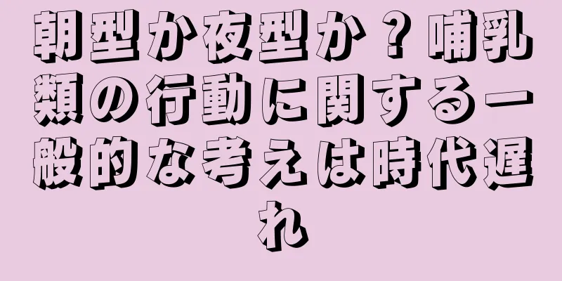 朝型か夜型か？哺乳類の行動に関する一般的な考えは時代遅れ
