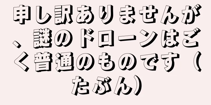 申し訳ありませんが、謎のドローンはごく普通のものです（たぶん）