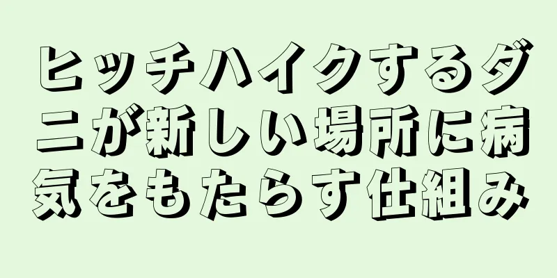 ヒッチハイクするダニが新しい場所に病気をもたらす仕組み