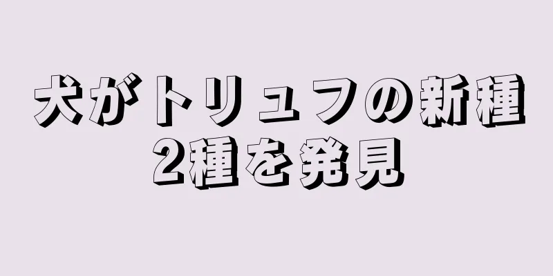 犬がトリュフの新種2種を発見