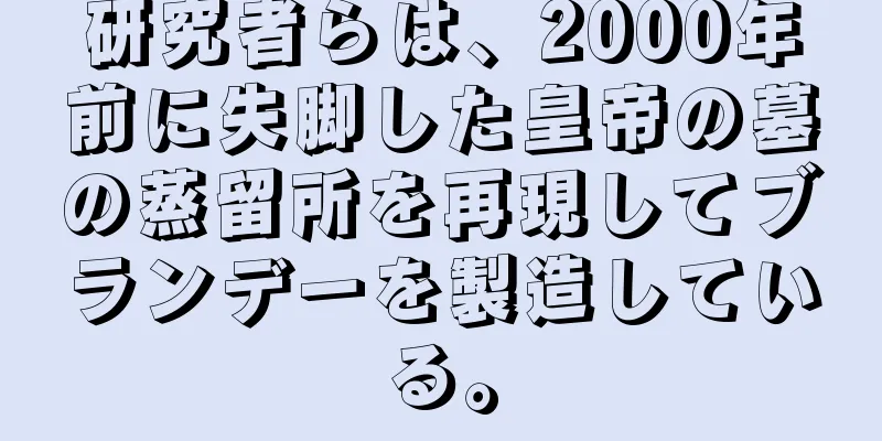研究者らは、2000年前に失脚した皇帝の墓の蒸留所を再現してブランデーを製造している。