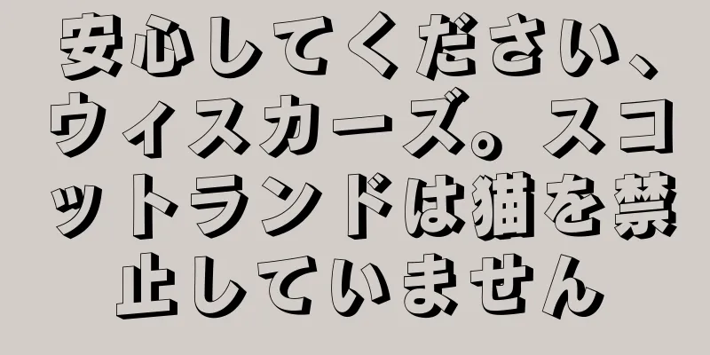 安心してください、ウィスカーズ。スコットランドは猫を禁止していません