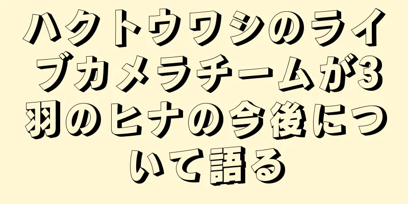 ハクトウワシのライブカメラチームが3羽のヒナの今後について語る