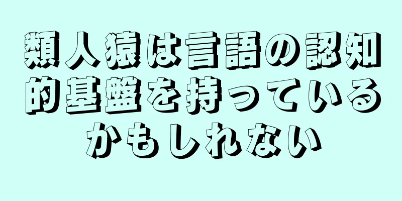 類人猿は言語の認知的基盤を持っているかもしれない