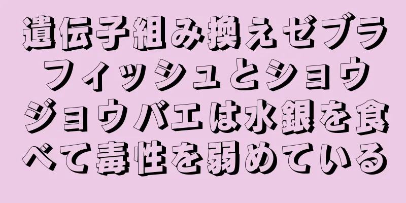 遺伝子組み換えゼブラフィッシュとショウジョウバエは水銀を食べて毒性を弱めている