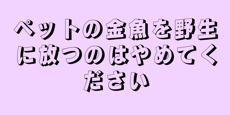 ペットの金魚を野生に放つのはやめてください