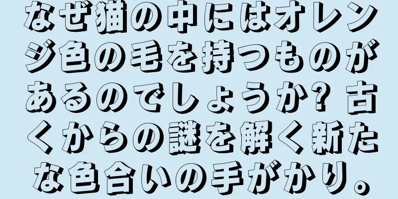なぜ猫の中にはオレンジ色の毛を持つものがあるのでしょうか? 古くからの謎を解く新たな色合いの手がかり。