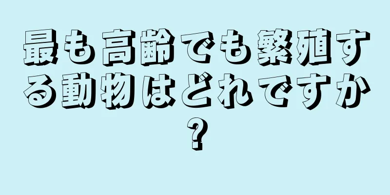 最も高齢でも繁殖する動物はどれですか?