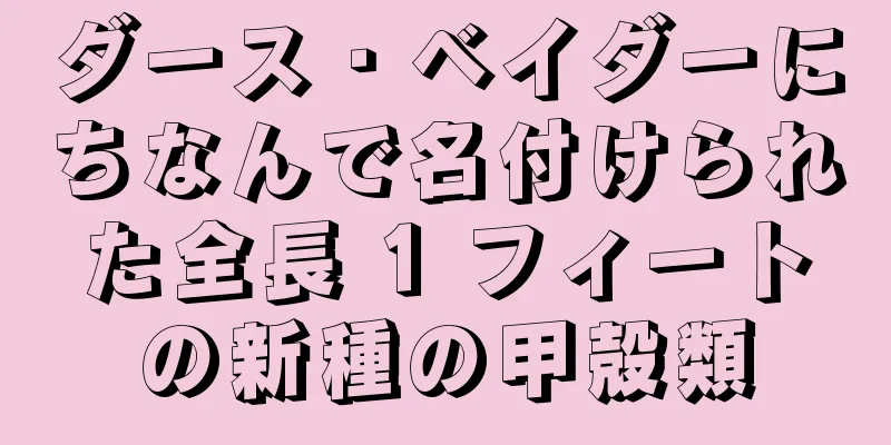 ダース・ベイダーにちなんで名付けられた全長 1 フィートの新種の甲殻類