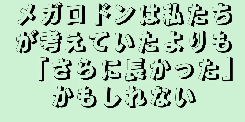 メガロドンは私たちが考えていたよりも「さらに長かった」かもしれない