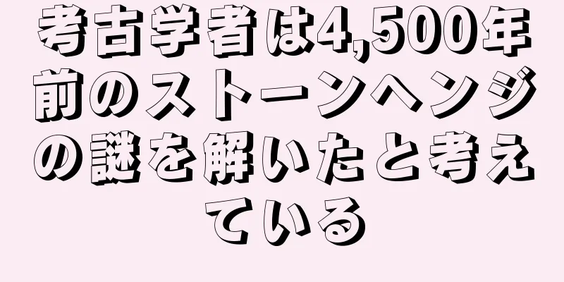 考古学者は4,500年前のストーンヘンジの謎を解いたと考えている