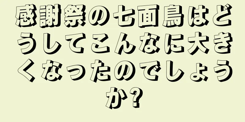 感謝祭の七面鳥はどうしてこんなに大きくなったのでしょうか?
