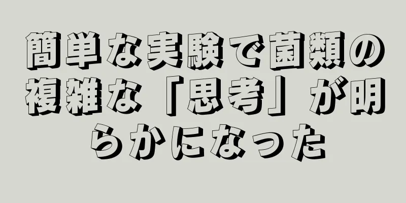 簡単な実験で菌類の複雑な「思考」が明らかになった