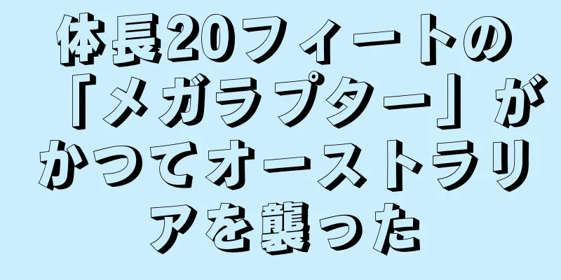 体長20フィートの「メガラプター」がかつてオーストラリアを襲った
