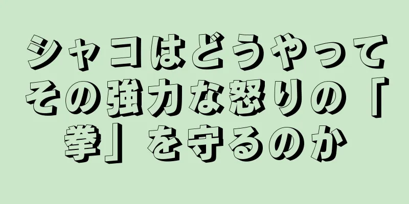 シャコはどうやってその強力な怒りの「拳」を守るのか