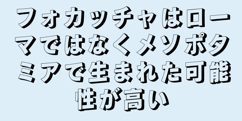 フォカッチャはローマではなくメソポタミアで生まれた可能性が高い