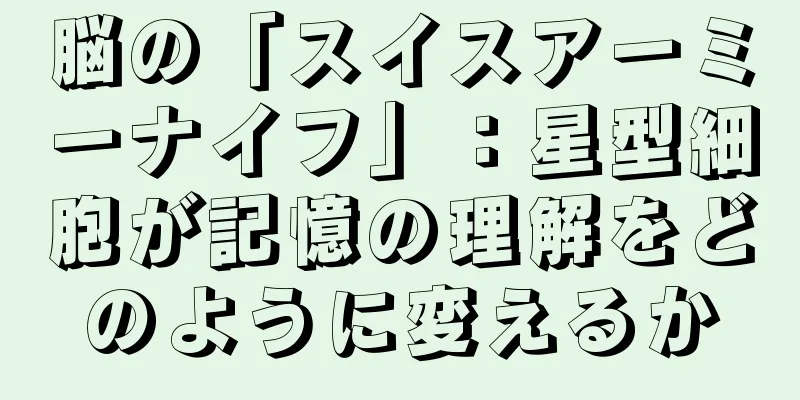 脳の「スイスアーミーナイフ」：星型細胞が記憶の理解をどのように変えるか