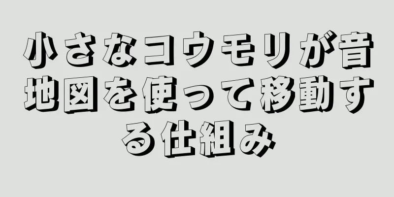 小さなコウモリが音地図を使って移動する仕組み