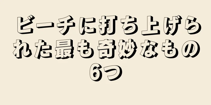 ビーチに打ち上げられた最も奇妙なもの6つ
