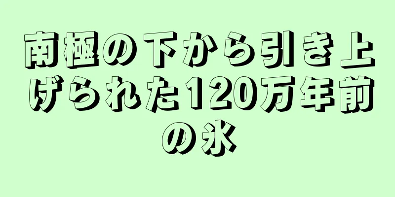 南極の下から引き上げられた120万年前の氷