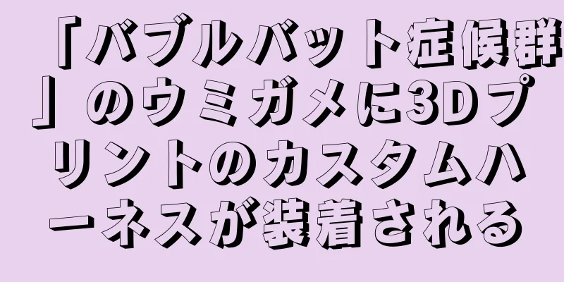 「バブルバット症候群」のウミガメに3Dプリントのカスタムハーネスが装着される