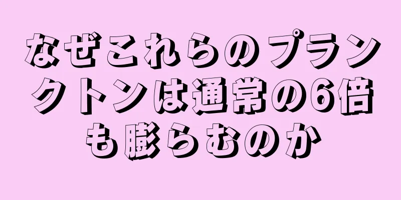 なぜこれらのプランクトンは通常の6倍も膨らむのか