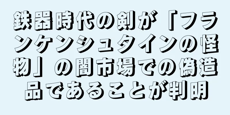 鉄器時代の剣が「フランケンシュタインの怪物」の闇市場での偽造品であることが判明