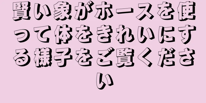 賢い象がホースを使って体をきれいにする様子をご覧ください