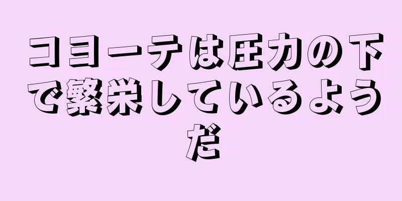 コヨーテは圧力の下で繁栄しているようだ