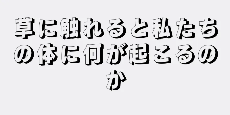 草に触れると私たちの体に何が起こるのか