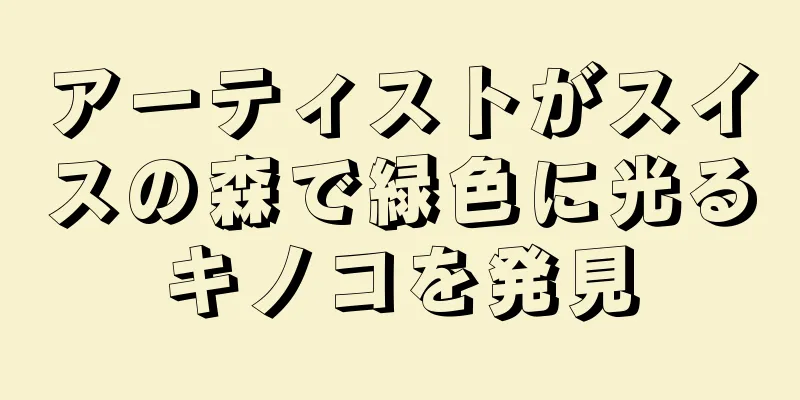アーティストがスイスの森で緑色に光るキノコを発見