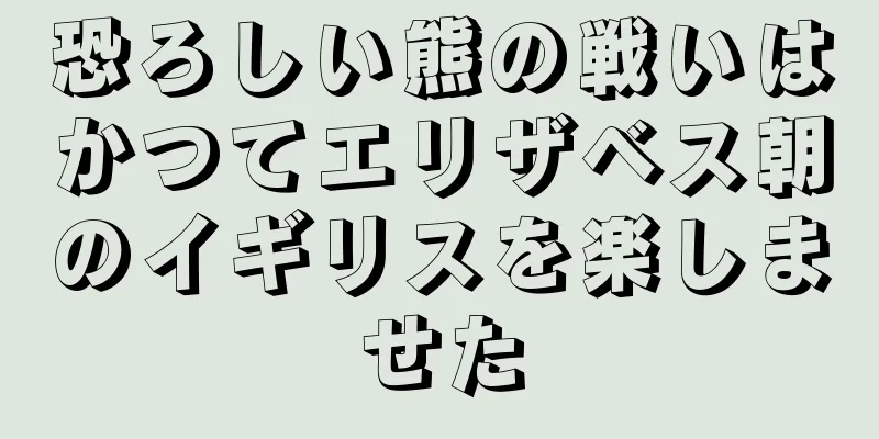恐ろしい熊の戦いはかつてエリザベス朝のイギリスを楽しませた