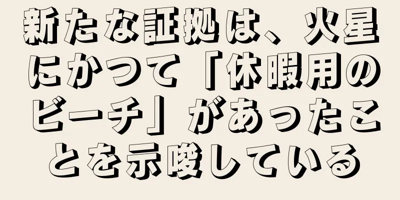 新たな証拠は、火星にかつて「休暇用のビーチ」があったことを示唆している