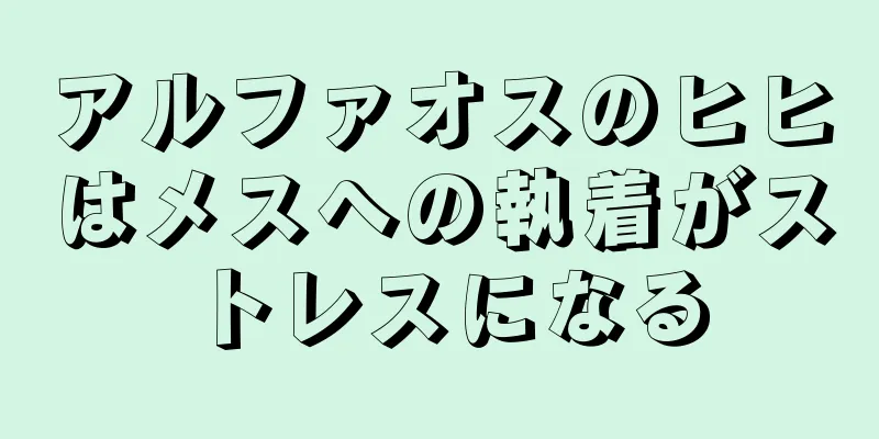 アルファオスのヒヒはメスへの執着がストレスになる