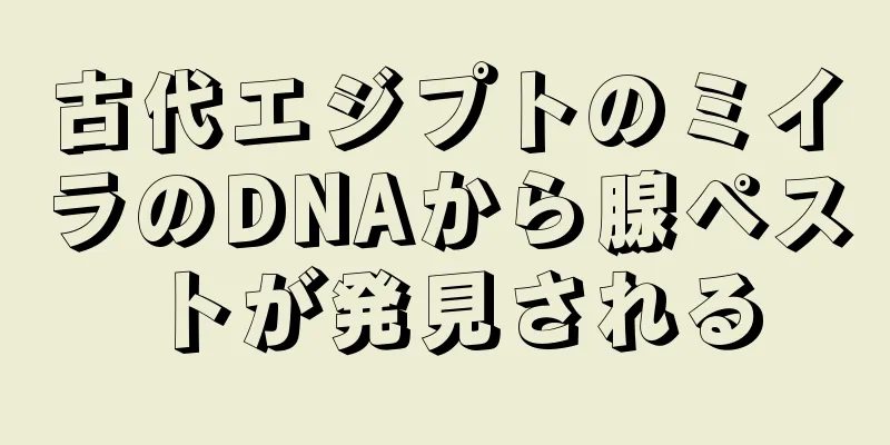 古代エジプトのミイラのDNAから腺ペストが発見される